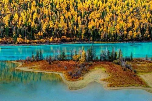 喀纳斯景区爆料视频播放 第2张 喀纳斯景区爆料视频播放 第2张